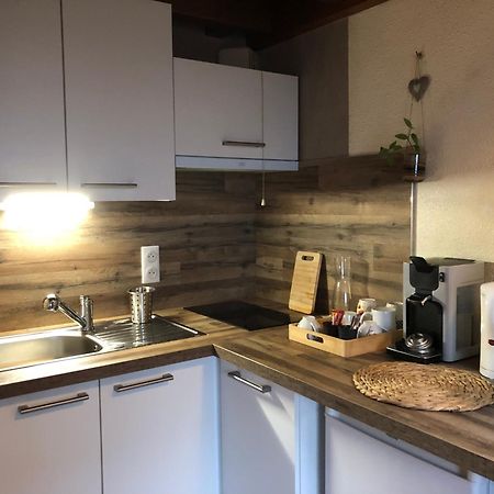 Duplex - Proche De Gerardmer Le Tholy Esterno foto