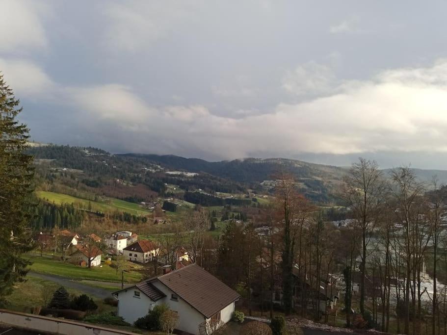 Duplex - Proche De Gerardmer Le Tholy Esterno foto