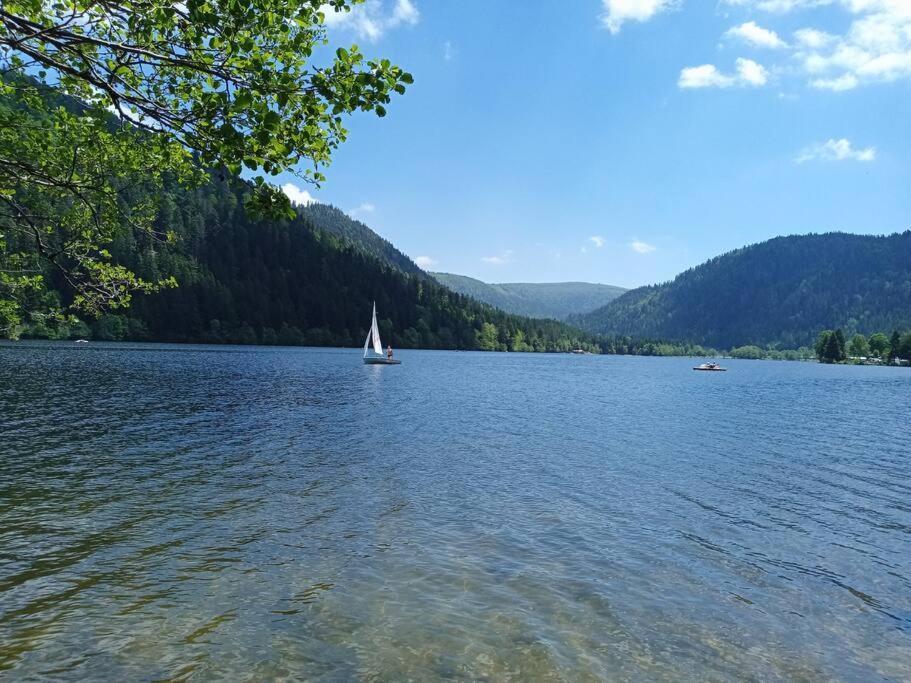 Duplex - Proche De Gerardmer Le Tholy Esterno foto