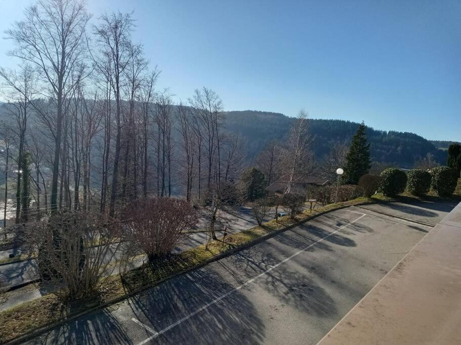 Duplex - Proche De Gerardmer Le Tholy Esterno foto