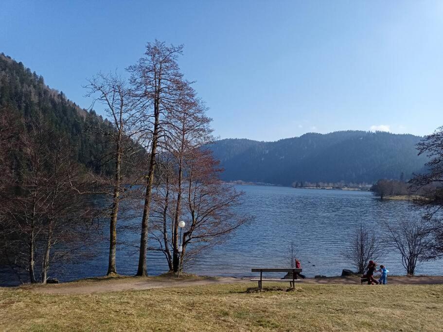 Duplex - Proche De Gerardmer Le Tholy Esterno foto