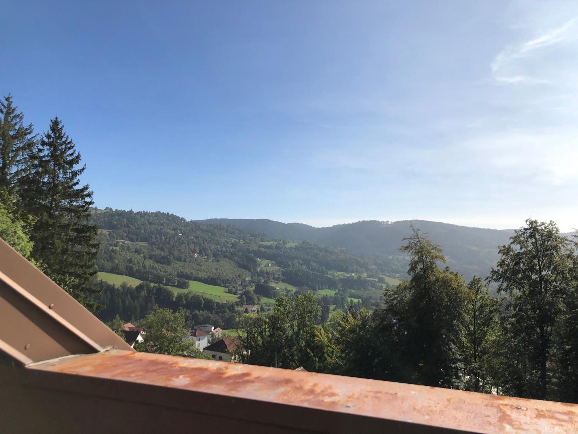 Duplex - Proche De Gerardmer Le Tholy Esterno foto